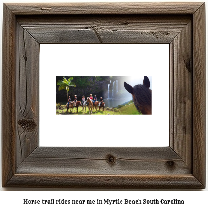 horse trail rides near me in Myrtle Beach, South Carolina